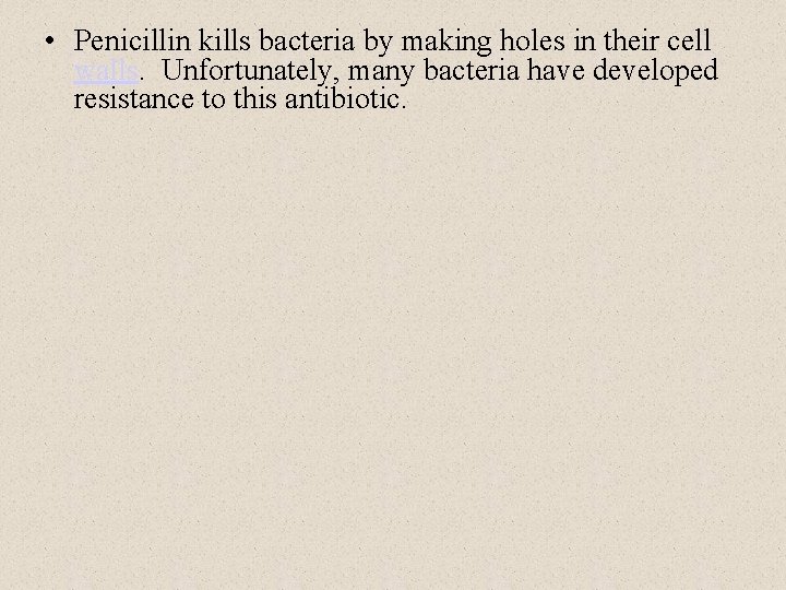  • Penicillin kills bacteria by making holes in their cell walls. Unfortunately, many