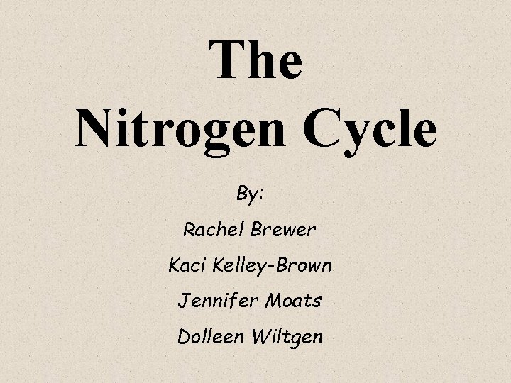 The Nitrogen Cycle By: Rachel Brewer Kaci Kelley-Brown Jennifer Moats Dolleen Wiltgen 
