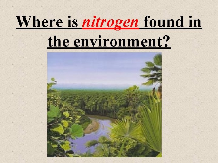 Where is nitrogen found in the environment? 