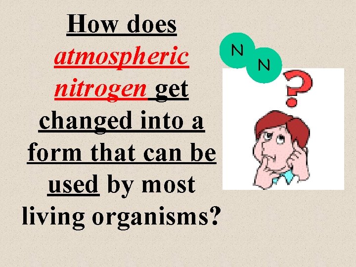 How does atmospheric nitrogen get changed into a form that can be used by