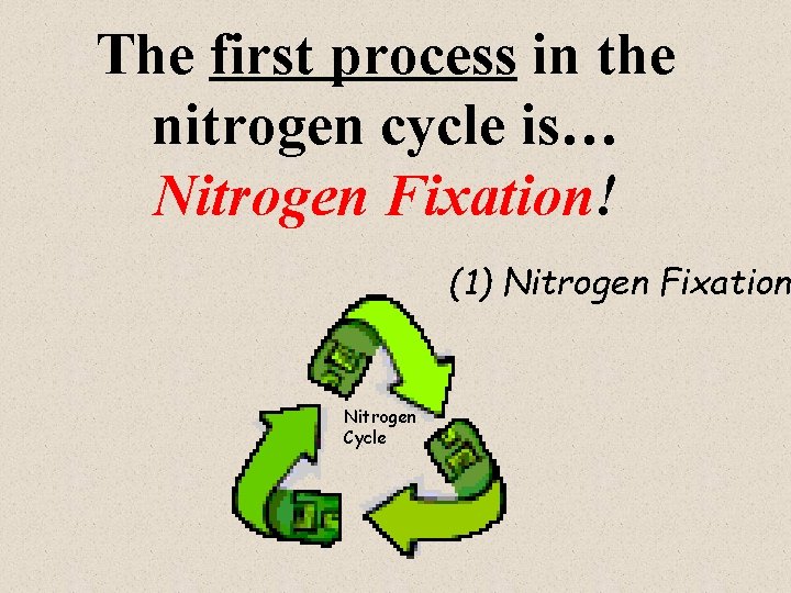 The first process in the nitrogen cycle is… Nitrogen Fixation! (1) Nitrogen Fixation Nitrogen