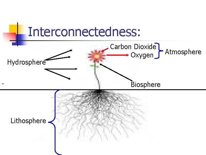 Interconnectedness: Hydrosphere Lithosphere Carbon Dioxide Oxygen Biosphere Atmosphere 