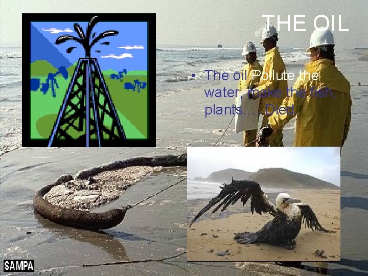THE OIL • The oil Pollute the water, make the fish, plants…. Died. 