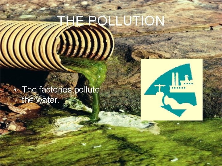 THE POLLUTION • The factories pollute the water. 