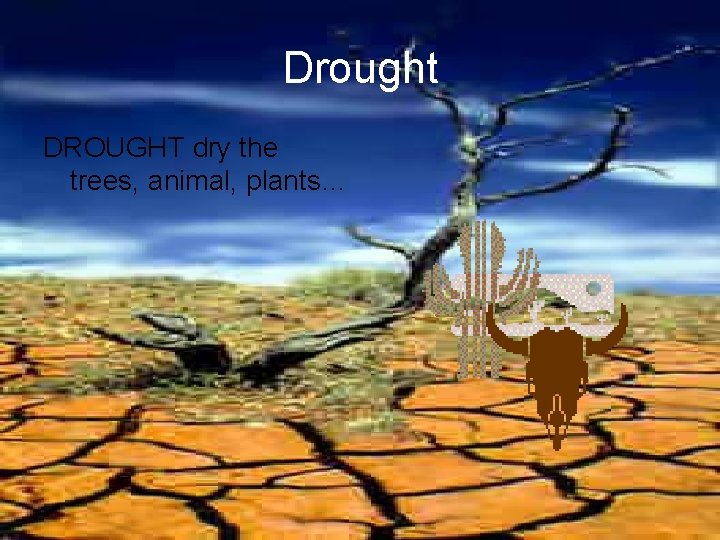 Drought DROUGHT dry the trees, animal, plants… 