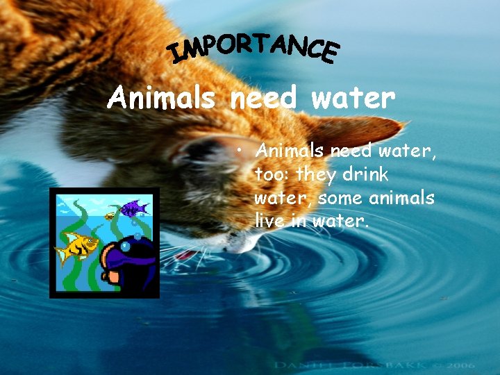 Animals need water • Animals need water, too: they drink water, some animals live