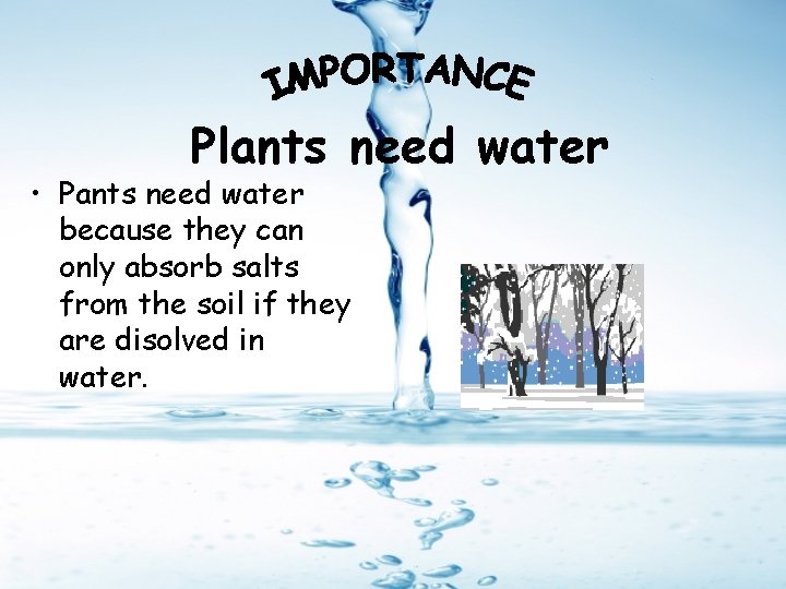 Plants need water • Pants need water because they can only absorb salts from
