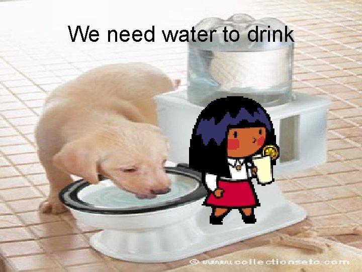 We need water to drink 