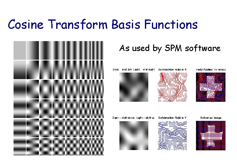 Cosine Transform Basis Functions As used by SPM software 