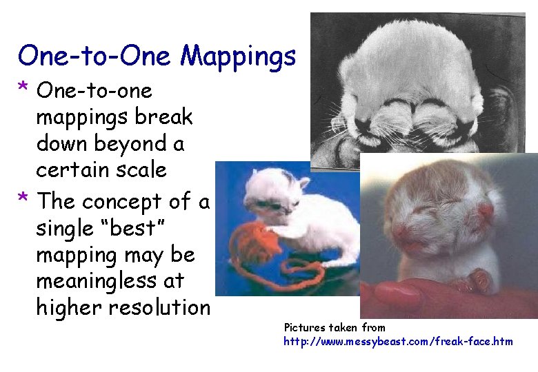 One-to-One Mappings * One-to-one mappings break down beyond a certain scale * The concept