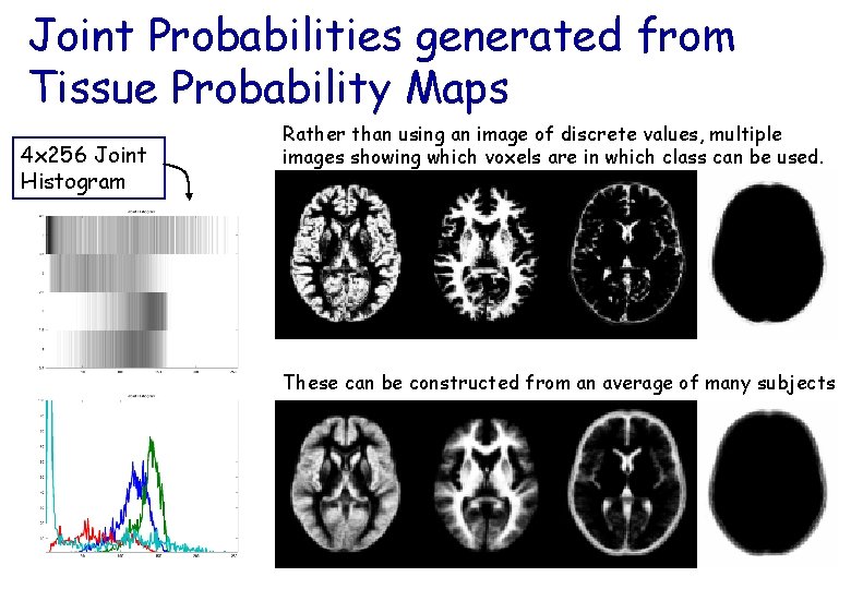 Joint Probabilities generated from Tissue Probability Maps 4 x 256 Joint Histogram Rather than