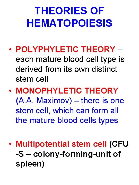 THEORIES OF HEMATOPOIESIS • POLYPHYLETIC THEORY – each mature blood cell type is derived