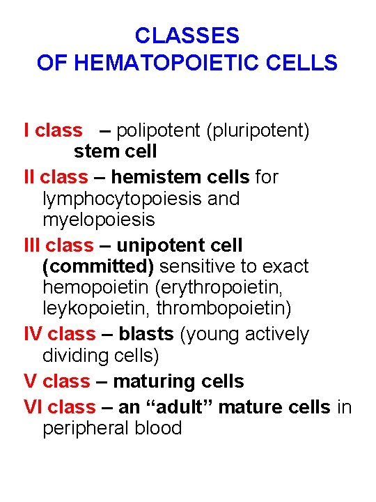 CLASSES OF HEMATOPOIETIC CELLS I class – polipotent (pluripotent) stem cell II class –