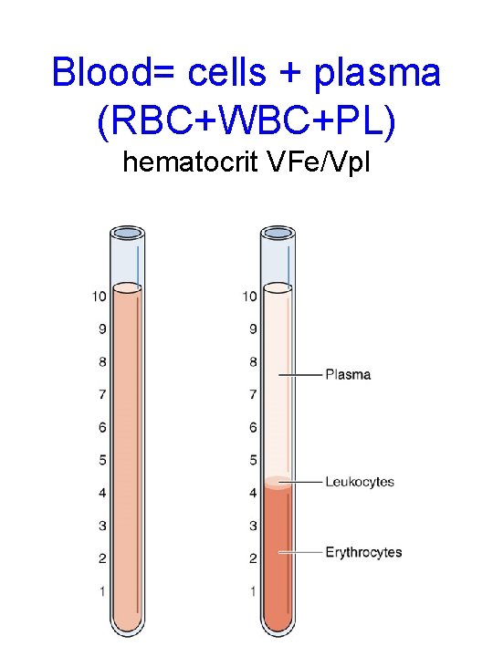 Blood= cells + plasma (RBC+WBC+PL) hematocrit VFe/Vpl 