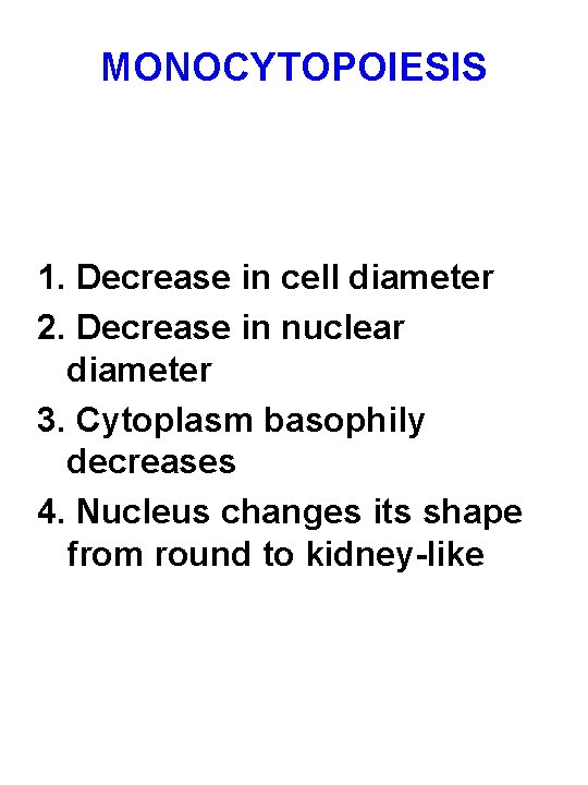 MONOCYTOPOIESIS 1. Decrease in cell diameter 2. Decrease in nuclear diameter 3. Cytoplasm basophily