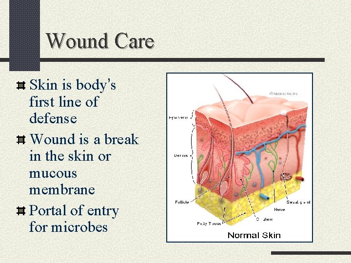 Wound Care Skin is body’s first line of defense Wound is a break in