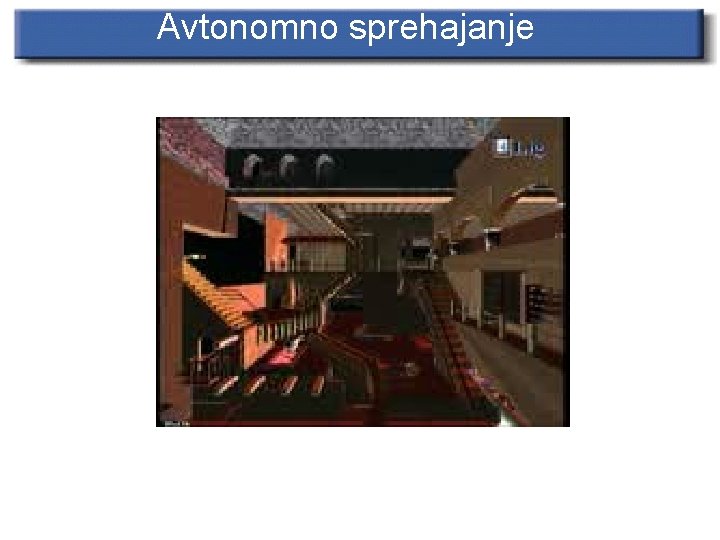 Avtonomno sprehajanje 