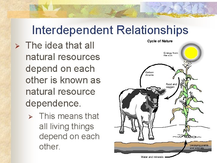 Interdependent Relationships Ø The idea that all natural resources depend on each other is