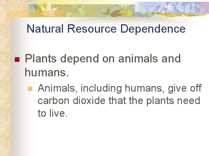 Natural Resource Dependence n Plants depend on animals and humans. n Animals, including humans,