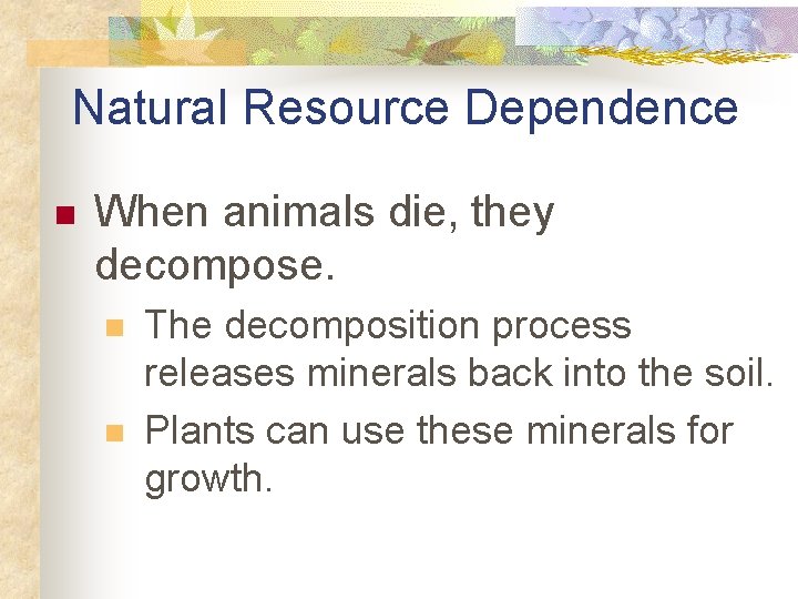 Natural Resource Dependence n When animals die, they decompose. n n The decomposition process