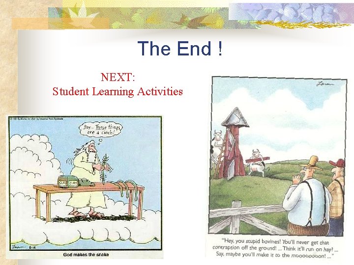 The End ! NEXT: Student Learning Activities 