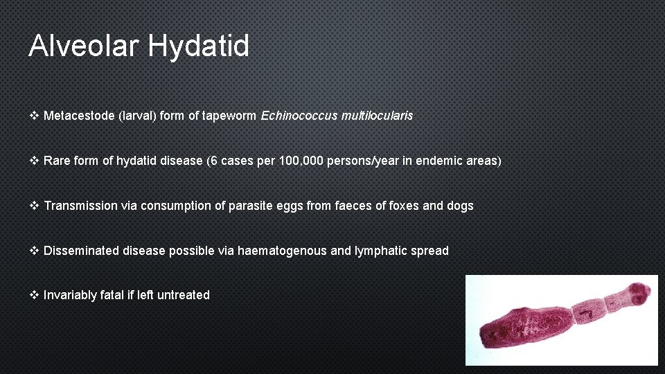 Alveolar Hydatid v Metacestode (larval) form of tapeworm Echinococcus multilocularis v Rare form of