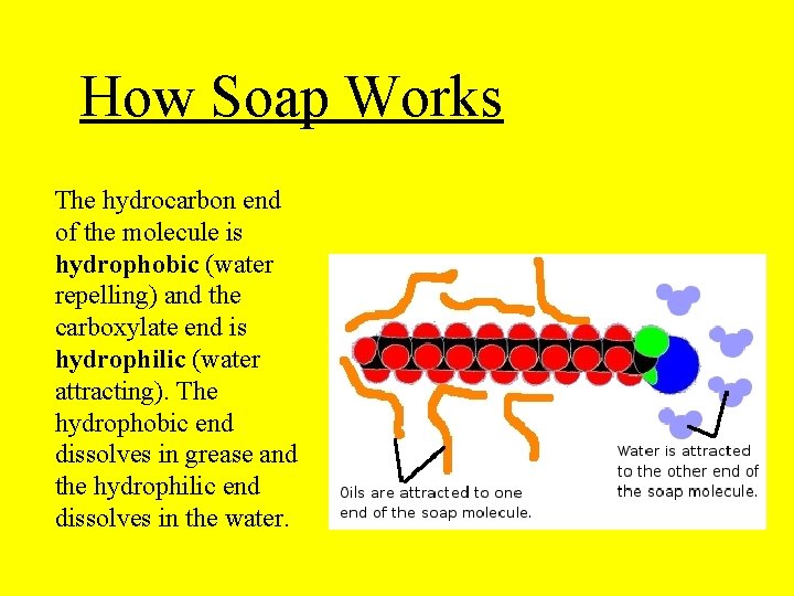 How Soap Works The hydrocarbon end of the molecule is hydrophobic (water repelling) and