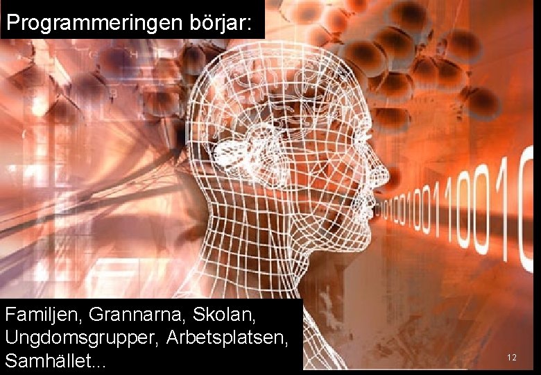 Programmeringen börjar: Familjen, Grannarna, Skolan, Ungdomsgrupper, Arbetsplatsen, Samhället. . . 12 