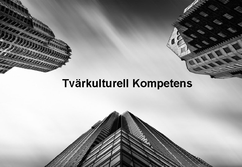 Tvärkulturell Kompetens 