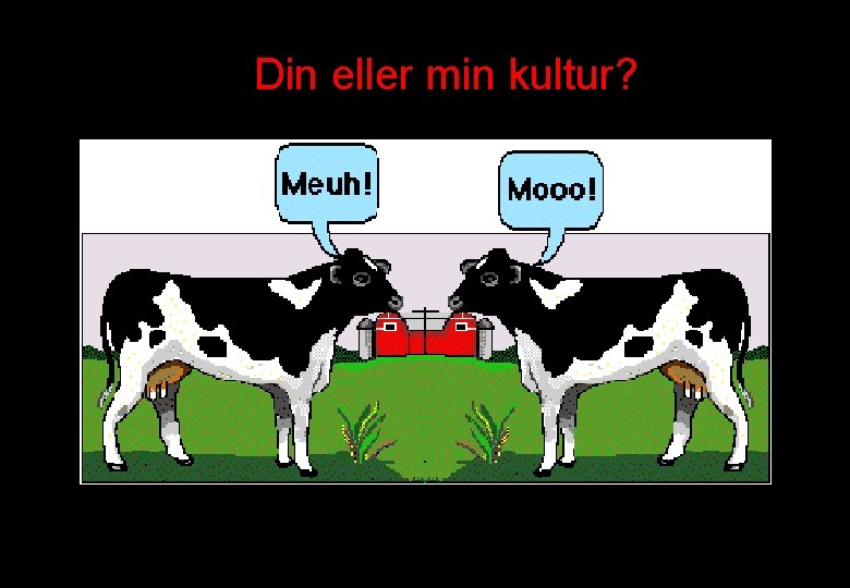 Din eller min kultur? 