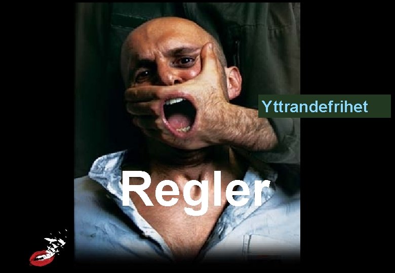 Yttrandefrihet Regler 