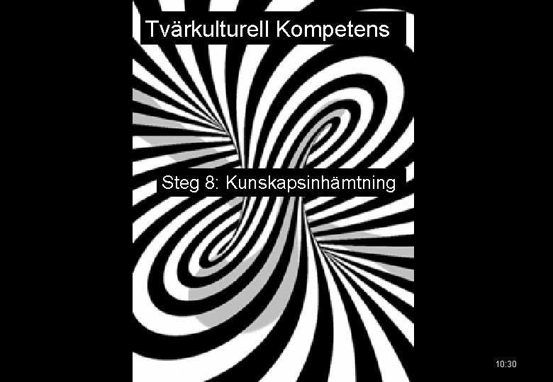 Tvärkulturell Kompetens Steg 8: Kunskapsinhämtning 10: 30 