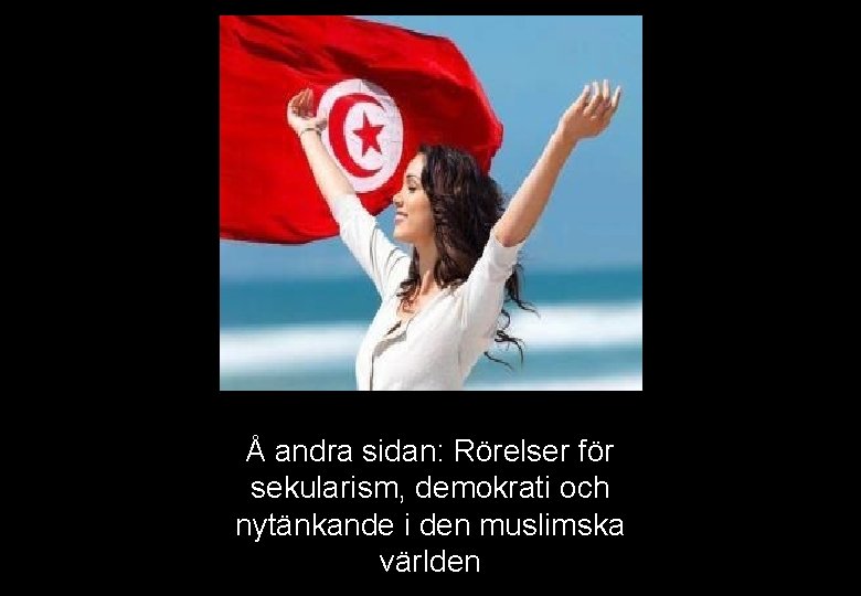 Å andra sidan: Rörelser för sekularism, demokrati och nytänkande i den muslimska världen 