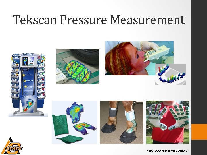 Tekscan Pressure Measurement http: //www. tekscan. com/products 