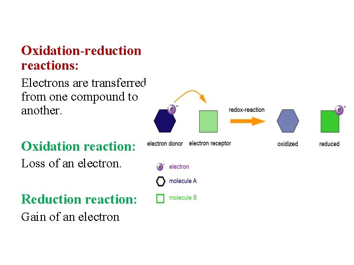 Oxidation-reduction reactions: Electrons are transferred from one compound to another. Oxidation reaction: Loss of