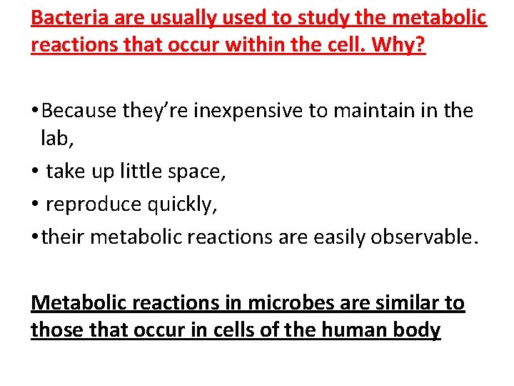 Bacteria are usually used to study the metabolic reactions that occur within the cell.