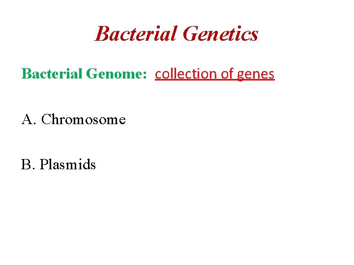 Bacterial Genetics Bacterial Genome: collection of genes A. Chromosome B. Plasmids 
