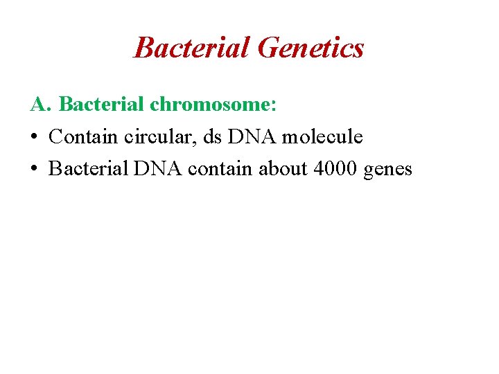 Bacterial Genetics A. Bacterial chromosome: • Contain circular, ds DNA molecule • Bacterial DNA