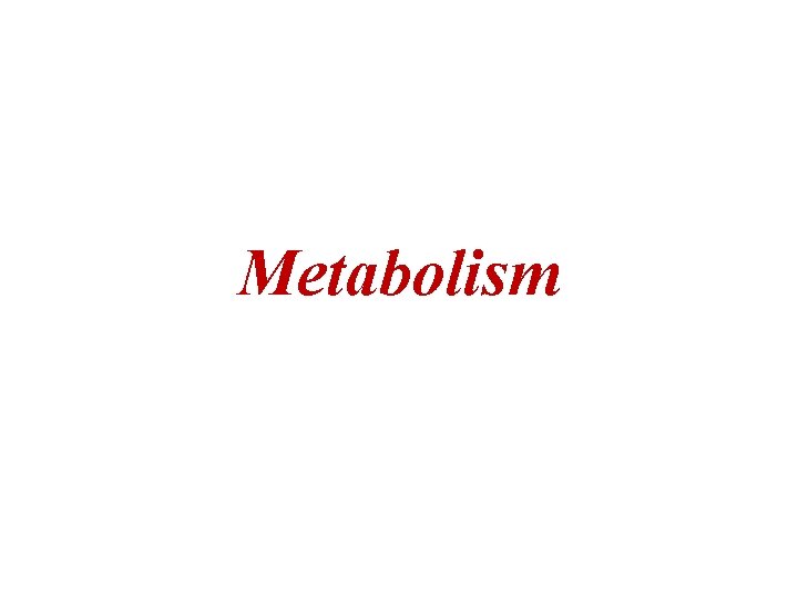 Metabolism 