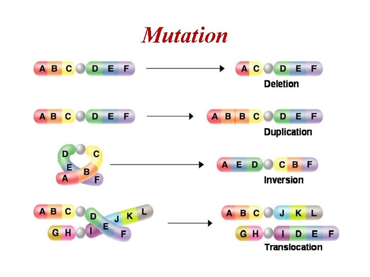 Mutation 