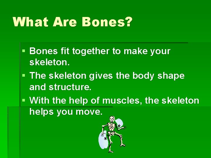 What Are Bones? § Bones fit together to make your skeleton. § The skeleton