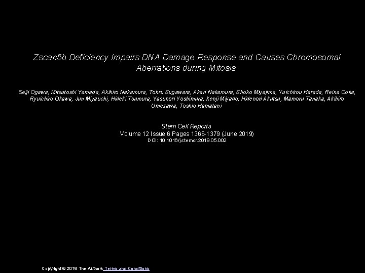 zscan 5 b deficiency impairs dna damage response