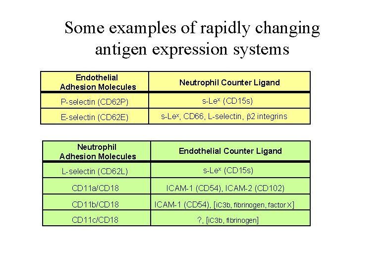 Some examples of rapidly changing antigen expression systems Endothelial Adhesion Molecules P-selectin (CD 62