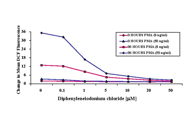 Change in Mean DCF Fluorescence 36 0 HOURS PMA (8 ng/ml) 30 0 HOURS