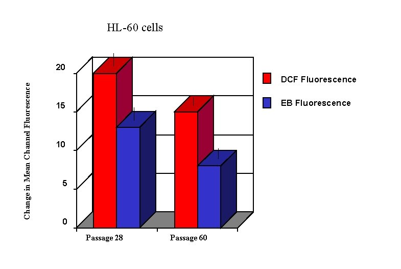 HL-60 cells Change in Mean Channel Fluorescence 20 DCF Fluorescence EB Fluorescence 15 10