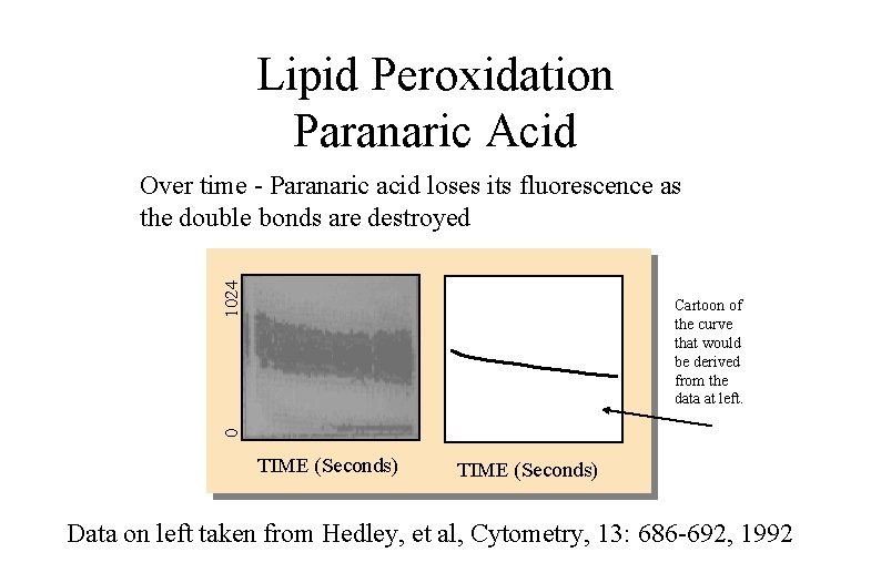 Lipid Peroxidation Paranaric Acid 1024 Over time - Paranaric acid loses its fluorescence as