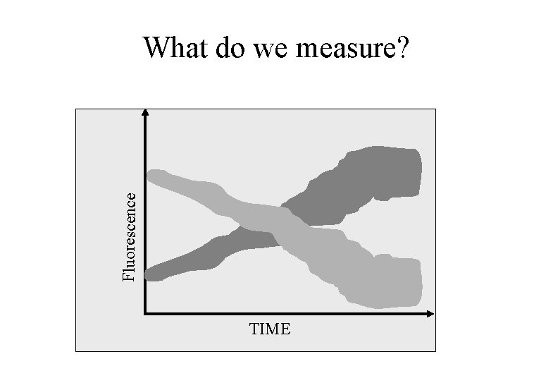 Fluorescence What do we measure? TIME 