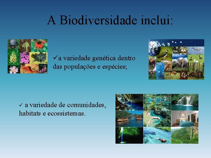 A Biodiversidade inclui: üa variedade genética dentro das populações e espécies; üa variedade de