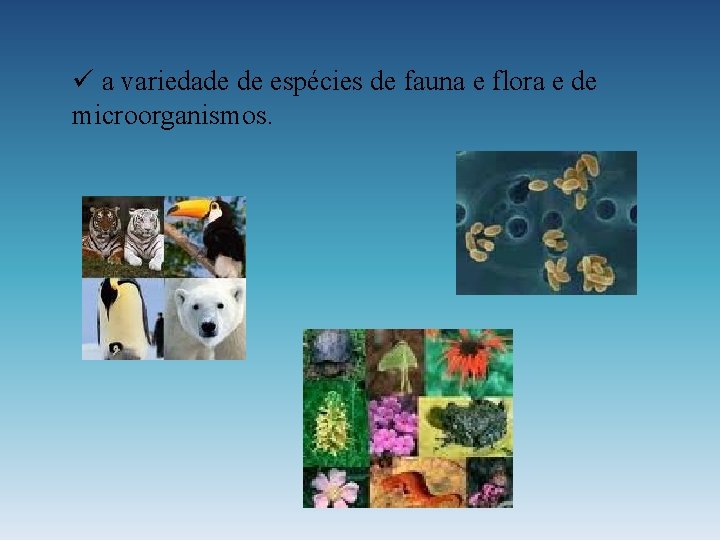 ü a variedade de espécies de fauna e flora e de microorganismos. 