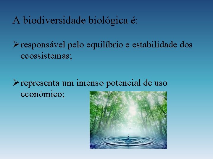 A biodiversidade biológica é: Ø responsável pelo equilíbrio e estabilidade dos ecossistemas; Ø representa